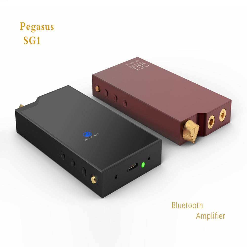 DETHONRAY Pegasus SG1 Bluetooth & HiFi Wireless DAC / AMP