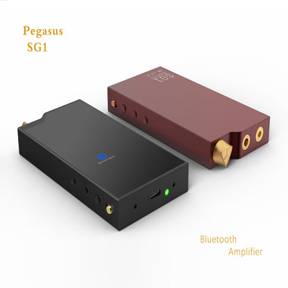 DETHONRAY Pegasus SG1 Bluetooth & HiFi Wireless DAC / AMP