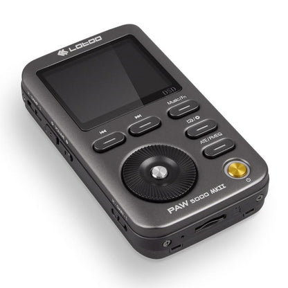 LOTOO PAW 5000 MKII Portable Hi-Fi Music Player DAC Chip AK4490 Chinese Version