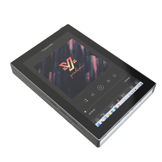 Yinlvmei W1s Win 10 Portable Music Player